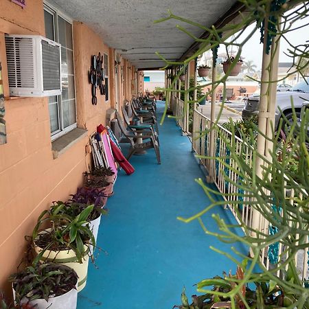 סיינט פיטרסברג Michaels Siesta Motel מראה חיצוני תמונה