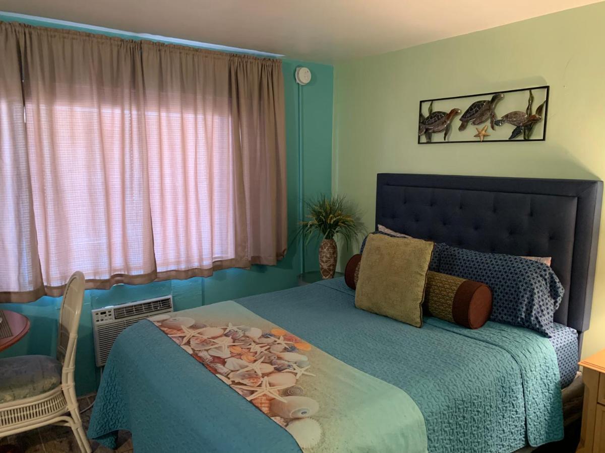 סיינט פיטרסברג Michaels Siesta Motel מראה חיצוני תמונה