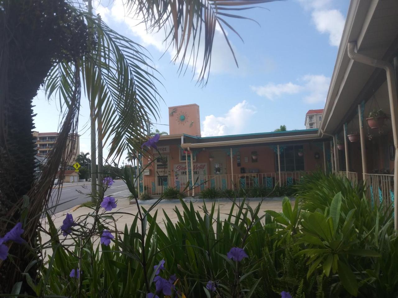 סיינט פיטרסברג Michaels Siesta Motel מראה חיצוני תמונה