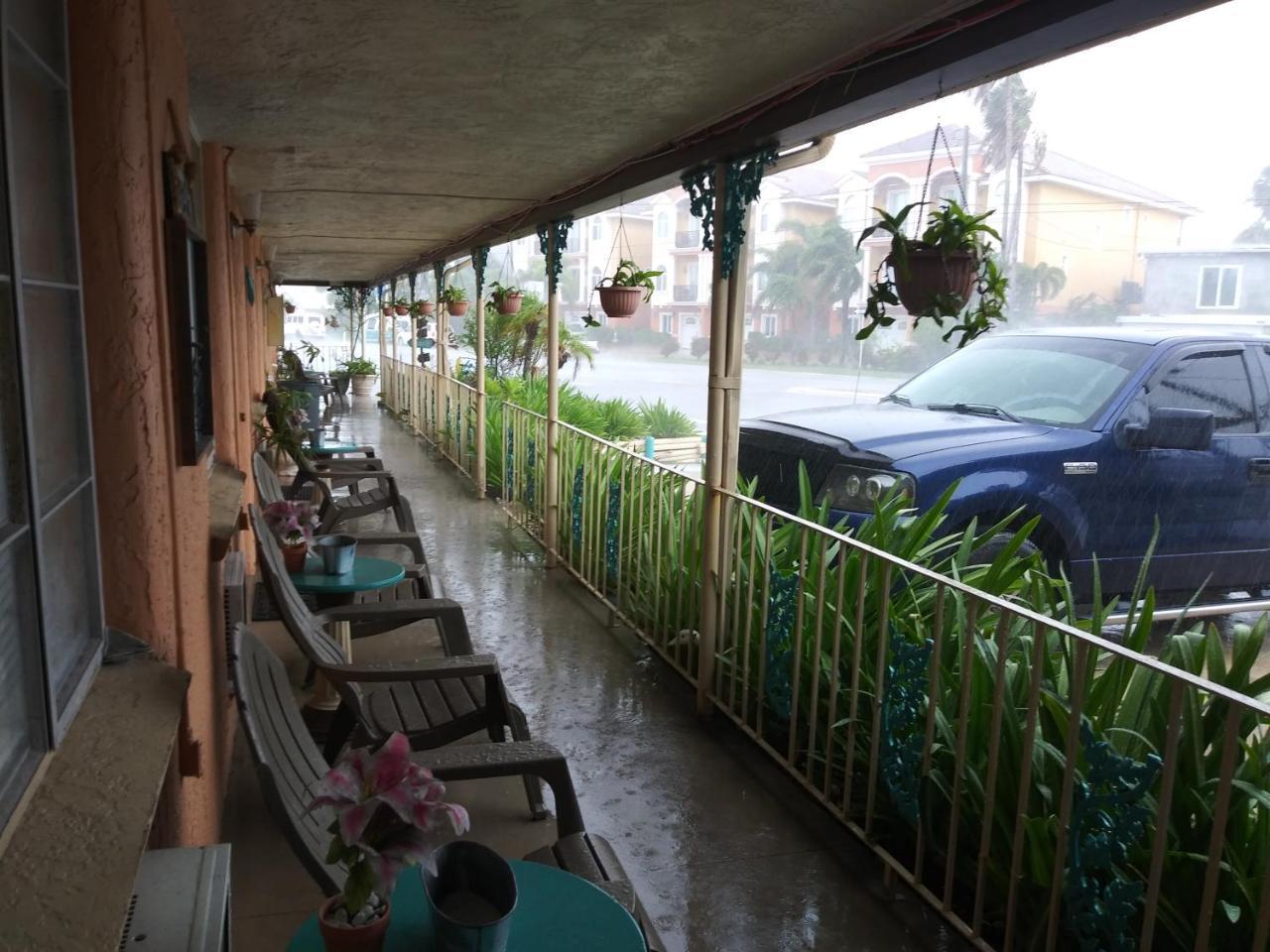 סיינט פיטרסברג Michaels Siesta Motel מראה חיצוני תמונה