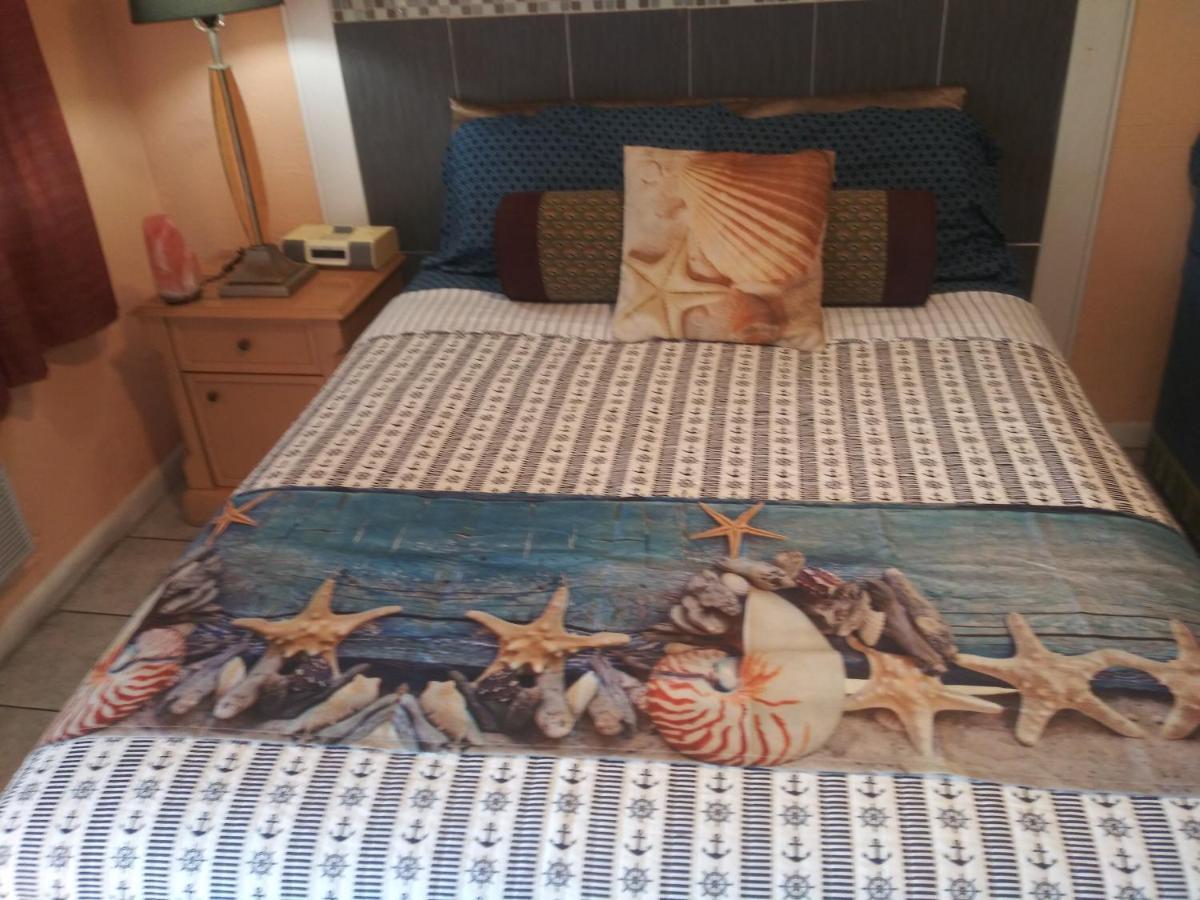 סיינט פיטרסברג Michaels Siesta Motel מראה חיצוני תמונה