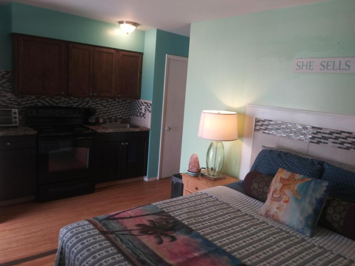 סיינט פיטרסברג Michaels Siesta Motel מראה חיצוני תמונה
